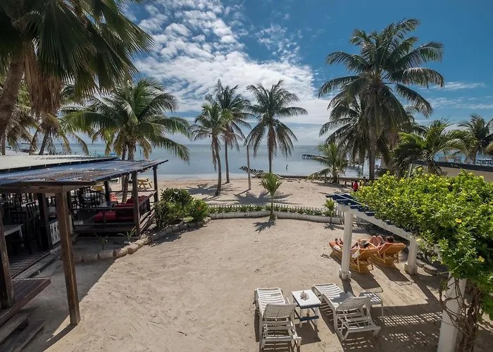 Palm-lined beachfront at the San Pedro Holiday Hotel