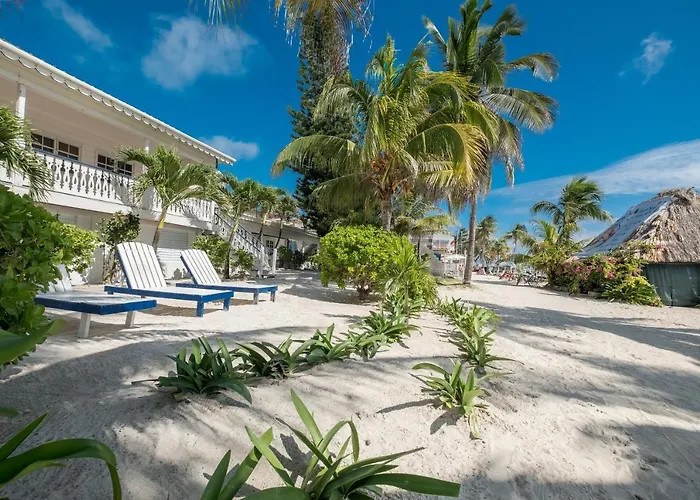 Hotel photograph 6